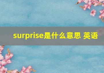 surprise是什么意思 英语